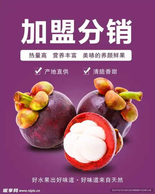  山竹设计图