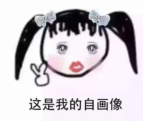  2017年最扎心年终总结我就是我,看见自己都上火