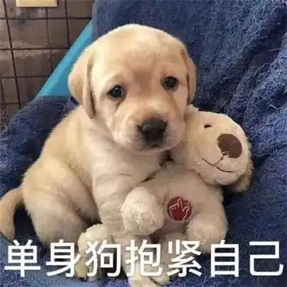 活久见都2021年了,高校居然还在谈婚前性行为记处分