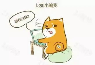 9小时1000亿马云我们不赚钱,目的是给消费者带来快乐