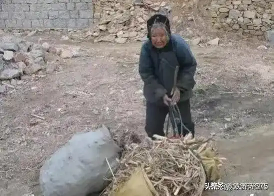 替农村老人发声,爱听不听,我将一如既往  替农村老人发声,爱听不听,我将一如既往