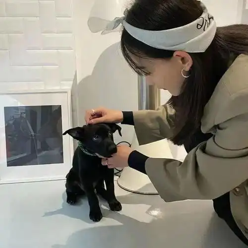  头像非常不错温暖你我