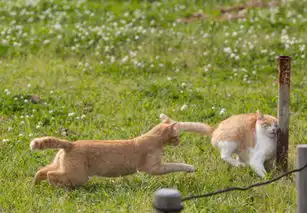 seijimamiya哎呀撞上啦堆糖,美好生活研究所  seijimamiya哎呀撞上啦堆糖,美好生活研究所