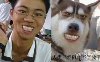 关于ps搞笑图片ps