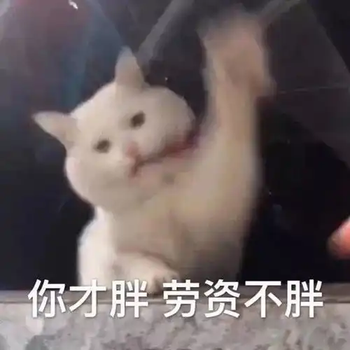  热门表情包图片看我怎么,好好表扬你
