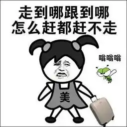  全国蚊子出没预报地图出炉看看你们家叮成啥颜色了