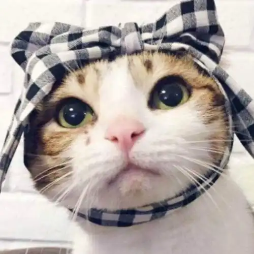 幽默笑话前任结婚时,我随礼300,孩子满月给了500  幽默笑话前任结婚时,我随礼300,孩子满月给了500