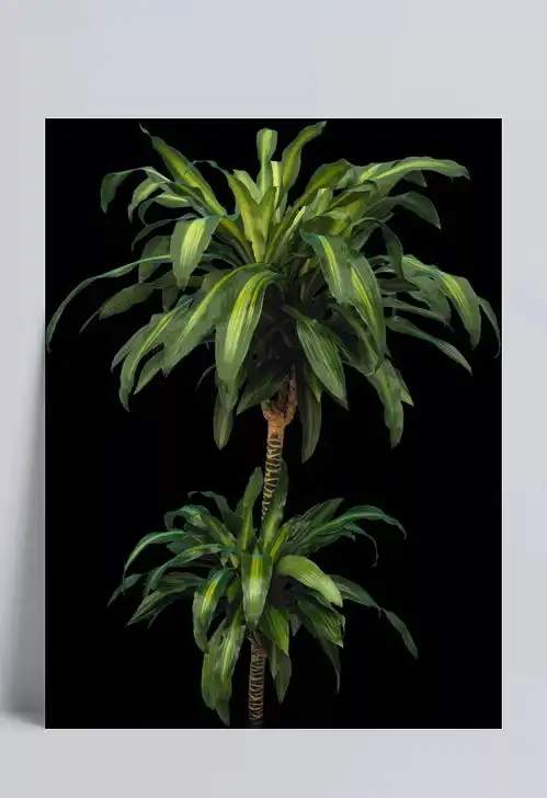 铁树开花图片搞笑俊雅