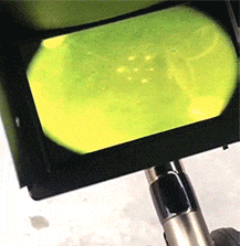  搞笑gif段子这个操作很灵性