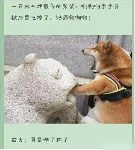 玩个球啊搞笑图片搞笑图