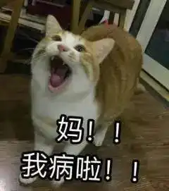 网上叫妈的表情包我妈