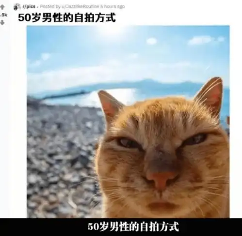  搞笑gif图片笑话晚上加班,老板管饭