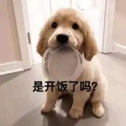  全球变暖重度雾霾席卷而来,英国留学环境工程将成热门专业