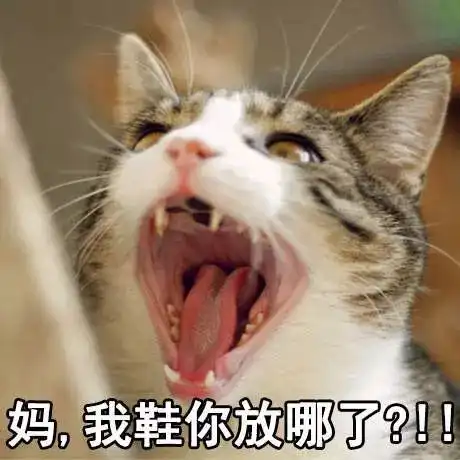 网上叫妈的表情包猫咪