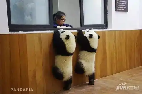 谢谢图片大全表情搞笑小