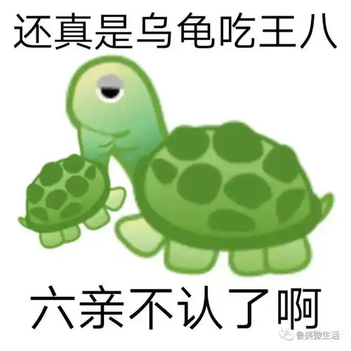  你是一名合格的00后网民吗