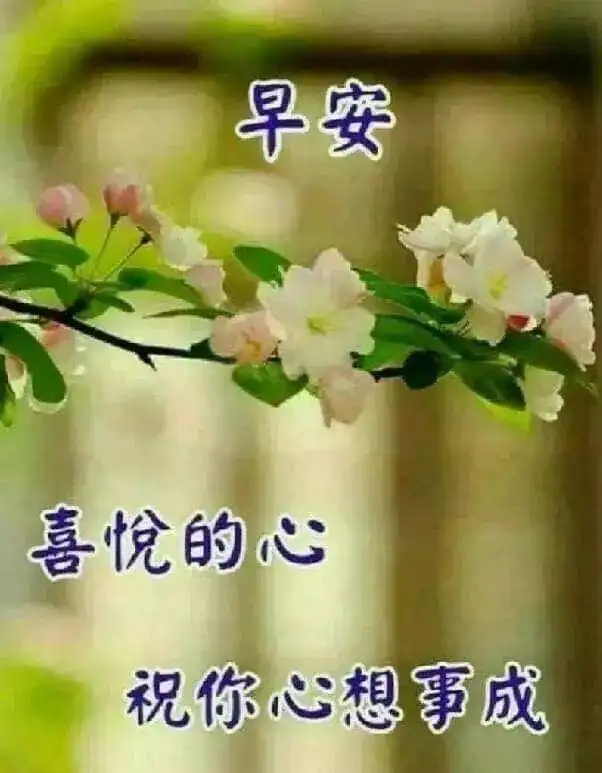 超漂亮早安问候祝福图