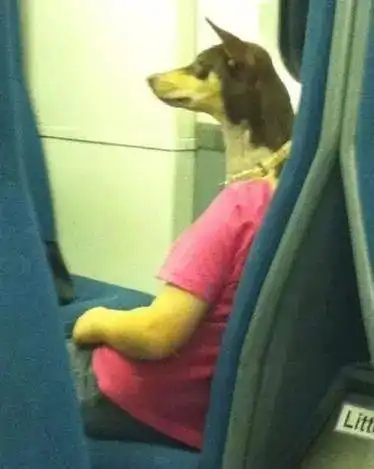  搞笑图片大锦集,看完这24张图片你笑了吗