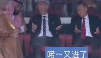  世界杯普京看球表情包为什么这么火世界杯普京表情包大全