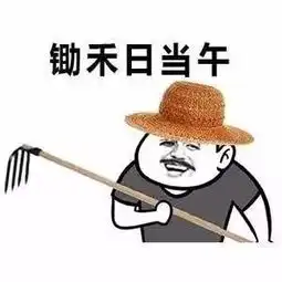  爆笑视频这种取钱方式,我给你跪了
