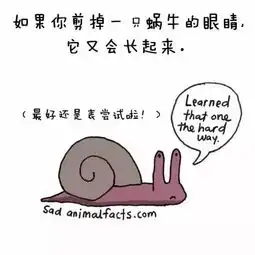  超有趣冷知识长颈鹿只睡2小时,山羊的视角能看到自己的屁股