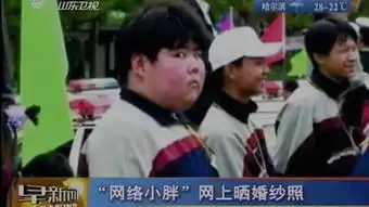  网络小胖