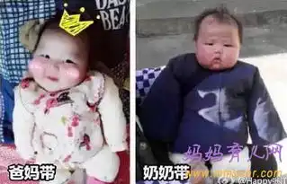 一组图告诉你妈妈带孩子和奶奶带孩子的区别  一组图告诉你妈妈带孩子和奶奶带孩子的区别