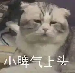  周冬雨刘昊然平原上的摩西定档山河令没有续集