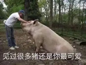 自曝富豪亲密照遭正室封杀,秒嫁小鲜肉也改不了偷吃本性  自曝富豪亲密照遭正室封杀,秒嫁小鲜肉也改不了偷吃本性