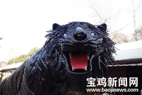  虎虎生威闹新春春节到宝鸡人民公园看虎妞