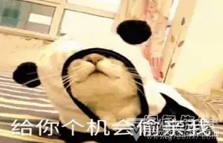  给你个机会偷亲我qq表情包撩妹撒娇表情图片v1.0绿色版