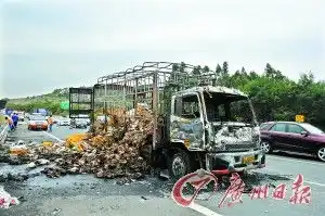 烤鸭图片搞笑货车