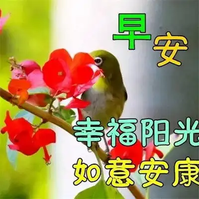  2023最新早晨好早上好漂亮问候祝福图片头像
