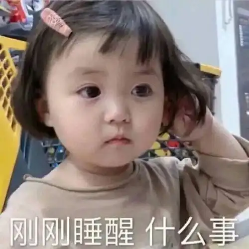求助表情包罗熙