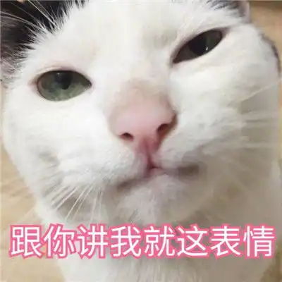 猫咪搞笑图片带字