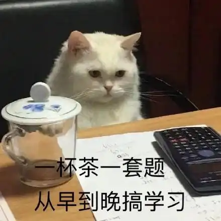  你知道吗acca一年可以考几次一次最多考几门