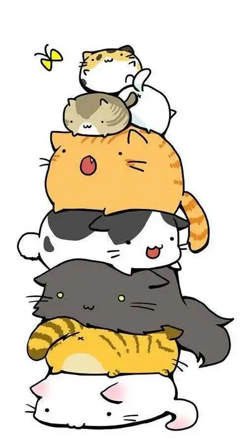  关于猫咪的冷知识,总有你不知道的