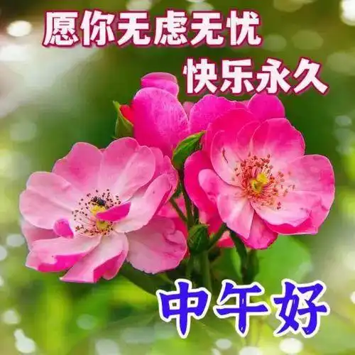  中午好图片大全,中午好问候语图片,午安问候图片大全
