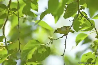  今拍小清新一族,祝周末愉快beijing