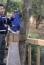  搞笑gif动图这招是用来对付宝宝的,没想对狗子也一样管用