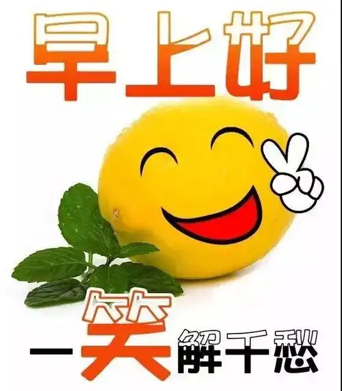 嗨美丽的姑娘表情包早上
