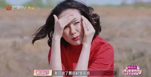  小娇妻程莉莎的恋爱日常,有必要热搜包年吗