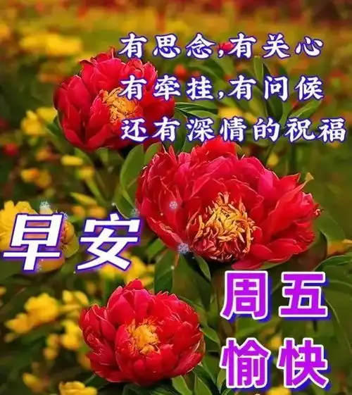  2月10日周五早安问候图片带字,清晨起来问个好,健康平安是心愿