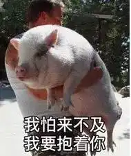 猪肝猪大肠猪都有哪些部位不能吃