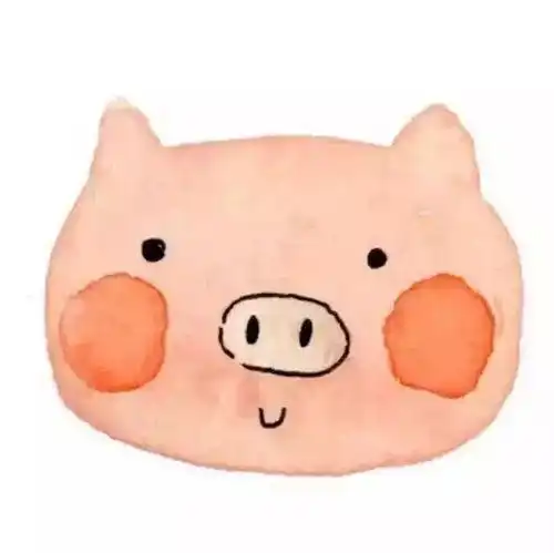  我的收藏