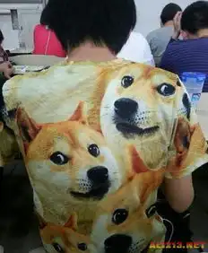 穿白色婚纱的妹子最性感午间爆笑囧图来袭图片14游侠图库  穿白色婚纱的妹子最性感午间爆笑囧图来袭图片14游侠图库