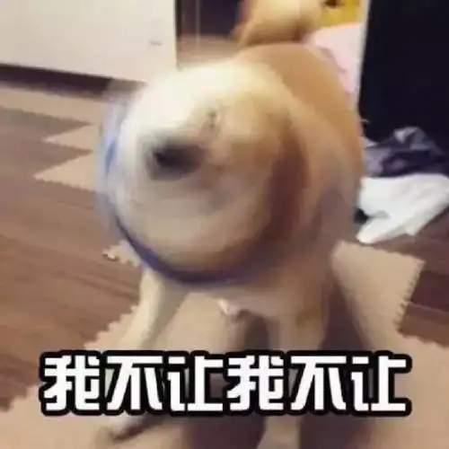  魔性狗子表情包全属精品