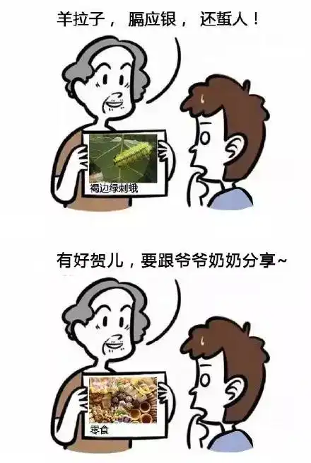 东北奶奶教孙子看图识字,笑抽了  东北奶奶教孙子看图识字,笑抽了