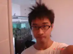  猩猩