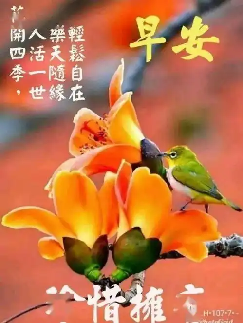  微信朋友圈特漂亮的早上好图片早上好问候句子